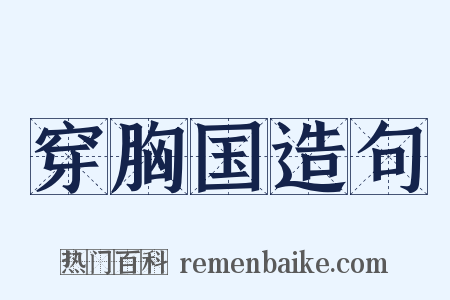 穿胸国造句是什么意思的图片